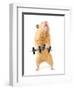 Hamster With Bar Isolated On White-IgorKovalchuk-Framed Photographic Print