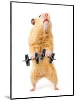 Hamster With Bar Isolated On White-IgorKovalchuk-Mounted Photographic Print