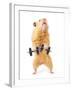 Hamster With Bar Isolated On White-IgorKovalchuk-Framed Photographic Print