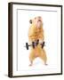 Hamster With Bar Isolated On White-IgorKovalchuk-Framed Photographic Print