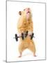 Hamster With Bar Isolated On White-IgorKovalchuk-Mounted Photographic Print
