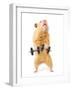 Hamster With Bar Isolated On White-IgorKovalchuk-Framed Photographic Print