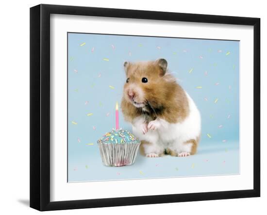Premium Photographic Print, , large