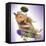 Hamster with Skateboard and Helmet-null-Framed Stretched Canvas