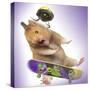 Hamster with Skateboard and Helmet-null-Stretched Canvas