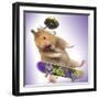 Hamster with Skateboard and Helmet-null-Framed Premium Photographic Print