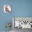 Hamster with Skateboard and Helmet-null-Photographic Print displayed on a wall