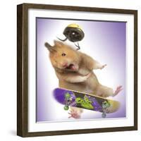 Hamster with Skateboard and Helmet-null-Framed Photographic Print