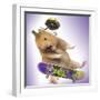 Hamster with Skateboard and Helmet-null-Framed Photographic Print