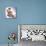 Hamster with Skateboard and Helmet-null-Mounted Photographic Print displayed on a wall