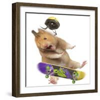 Hamster with Skateboard and Helmet-Jean-Michel Labat-Framed Photographic Print