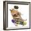 Hamster with Skateboard and Helmet-Jean-Michel Labat-Framed Photographic Print