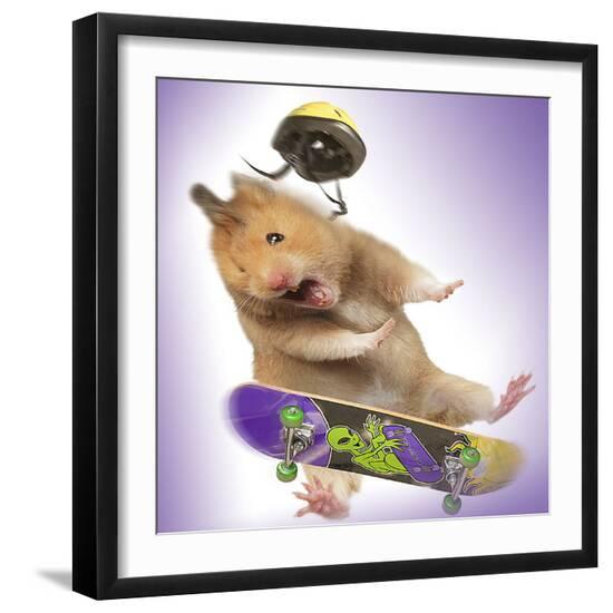 Photographic Print, , large