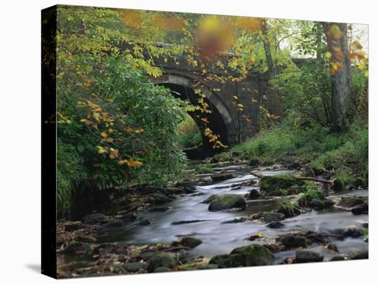 Hamsterley Forest, County Durham, England, United Kingdom, Europe-Mawson Mark-Stretched Canvas