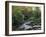 Hamsterley Forest, County Durham, England, United Kingdom, Europe-Mawson Mark-Framed Photographic Print