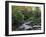 Hamsterley Forest, County Durham, England, United Kingdom, Europe-Mawson Mark-Framed Photographic Print