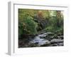 Hamsterley Forest, County Durham, England, United Kingdom, Europe-Mawson Mark-Framed Photographic Print