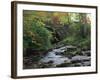 Hamsterley Forest, County Durham, England, United Kingdom, Europe-Mawson Mark-Framed Photographic Print