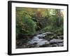 Hamsterley Forest, County Durham, England, United Kingdom, Europe-Mawson Mark-Framed Photographic Print