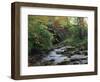 Hamsterley Forest, County Durham, England, United Kingdom, Europe-Mawson Mark-Framed Photographic Print