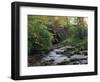 Hamsterley Forest, County Durham, England, United Kingdom, Europe-Mawson Mark-Framed Photographic Print