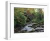 Hamsterley Forest, County Durham, England, United Kingdom, Europe-Mawson Mark-Framed Photographic Print