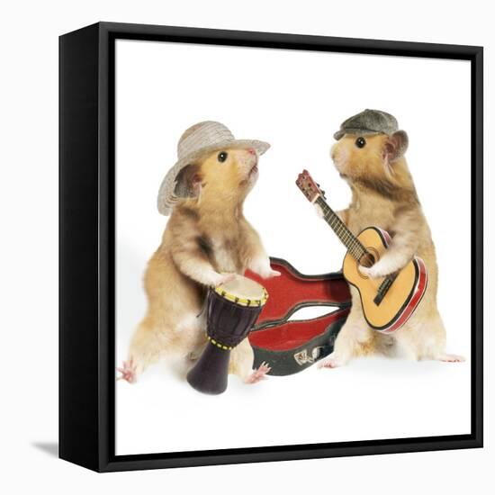 Hamsters Playing Musical Instruments-null-Framed Stretched Canvas