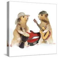 Hamsters Playing Musical Instruments-null-Stretched Canvas