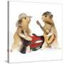 Hamsters Playing Musical Instruments-null-Stretched Canvas