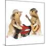 Hamsters Playing Musical Instruments-null-Mounted Photographic Print