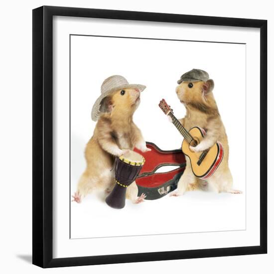 Hamsters Playing Musical Instruments-null-Framed Photographic Print