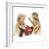 Hamsters Playing Musical Instruments-null-Framed Photographic Print