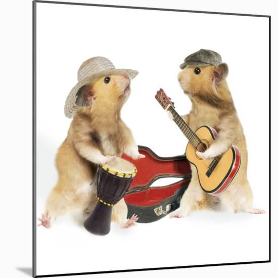 Hamsters Playing Musical Instruments-null-Mounted Photographic Print