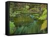 Hamurana Springs, Rotorua, Bay of Plenty, North Island, New Zealand-Rainer Mirau-Framed Stretched Canvas