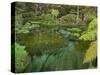 Hamurana Springs, Rotorua, Bay of Plenty, North Island, New Zealand-Rainer Mirau-Stretched Canvas
