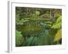 Hamurana Springs, Rotorua, Bay of Plenty, North Island, New Zealand-Rainer Mirau-Framed Photographic Print