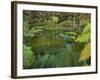 Hamurana Springs, Rotorua, Bay of Plenty, North Island, New Zealand-Rainer Mirau-Framed Photographic Print