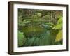 Hamurana Springs, Rotorua, Bay of Plenty, North Island, New Zealand-Rainer Mirau-Framed Photographic Print