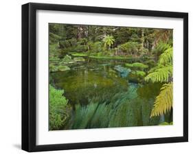 Hamurana Springs, Rotorua, Bay of Plenty, North Island, New Zealand-Rainer Mirau-Framed Photographic Print