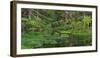 Hamurana Springs, Rotorua, Bay of Plenty, North Island, New Zealand-Rainer Mirau-Framed Photographic Print