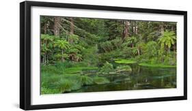 Hamurana Springs, Rotorua, Bay of Plenty, North Island, New Zealand-Rainer Mirau-Framed Photographic Print