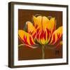 Hana II-Douglas-Framed Giclee Print