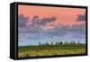 Hana Landscape, Maui-Vincent James-Framed Stretched Canvas