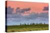 Hana Landscape, Maui-Vincent James-Stretched Canvas