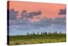 Hana Landscape, Maui-Vincent James-Stretched Canvas