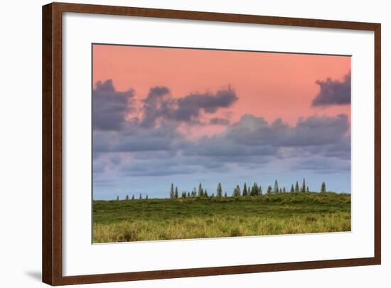 Hana Landscape, Maui-Vincent James-Framed Photographic Print