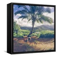 Hanalei Chicken Landscape, Kauai Hawaii-Vincent James-Framed Stretched Canvas