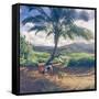 Hanalei Chicken Landscape, Kauai Hawaii-Vincent James-Framed Stretched Canvas