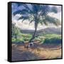 Hanalei Chicken Landscape, Kauai Hawaii-Vincent James-Framed Stretched Canvas