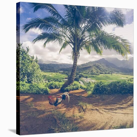 Hanalei Chicken Landscape, Kauai Hawaii-Vincent James-Stretched Canvas